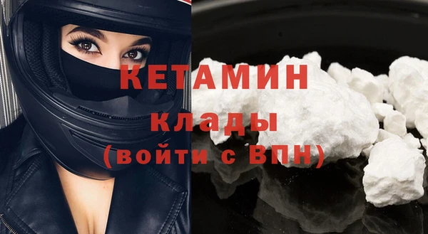 прущие грибы Саяногорск