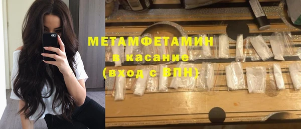 прущие грибы Саяногорск