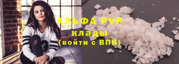 прущие грибы Саяногорск