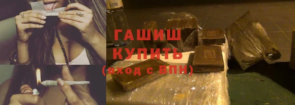 прущие грибы Саяногорск