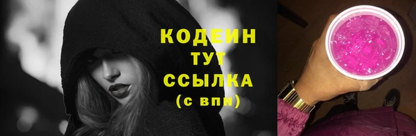 прущие грибы Саяногорск