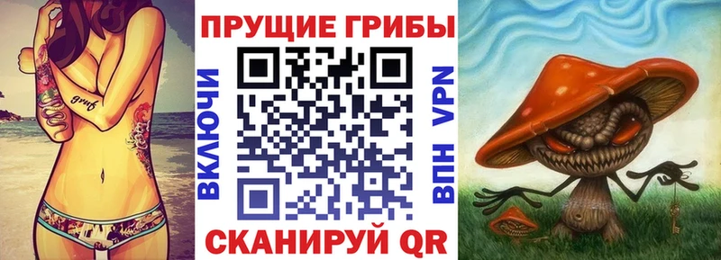 Купить закладки Снежинск Галлюциногенные грибы ЛСД